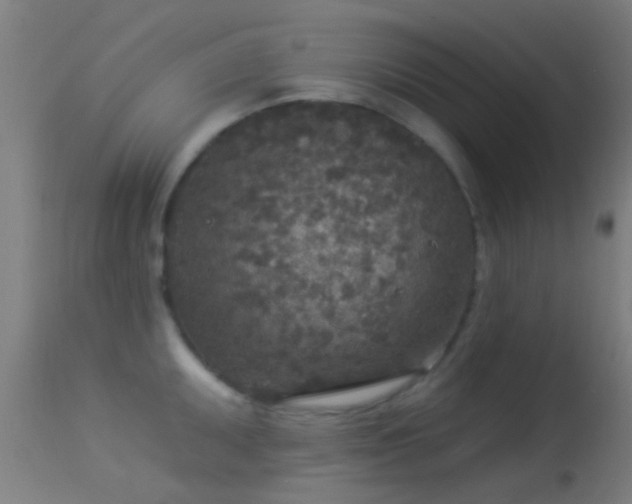 X0000114131095200910151539