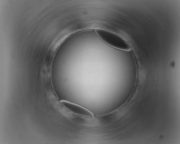 X0000114131097200910151539