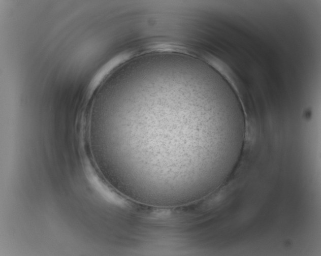 X0000114131098200910151539