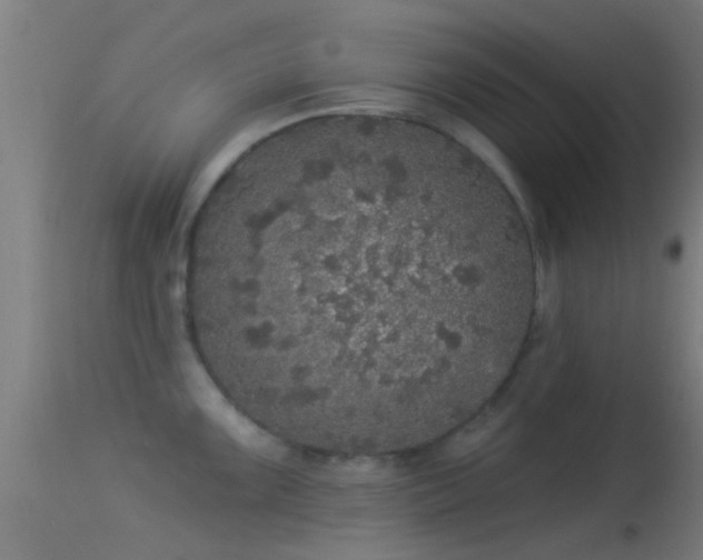 X0000114131099200910151539