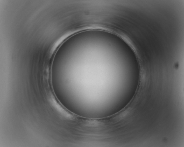 X0000114131100200910151539