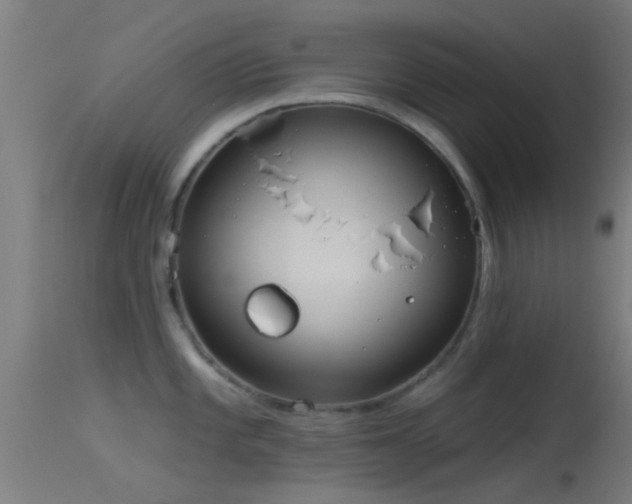 X0000114131101200910151539