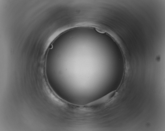 X0000114131102200910151539