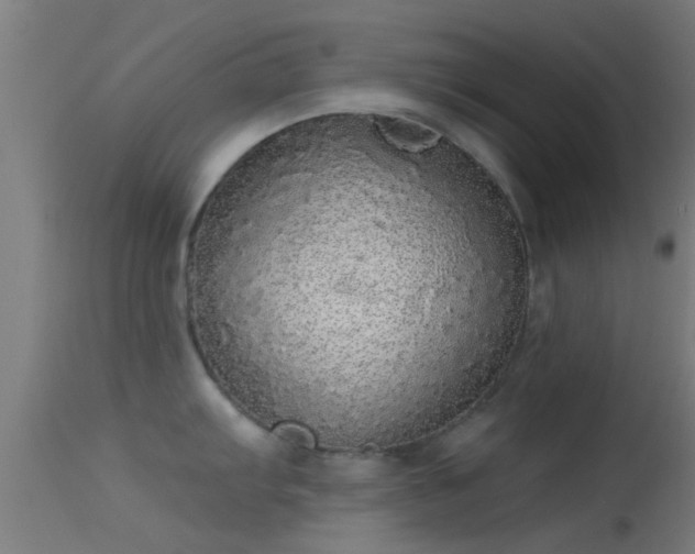 X0000114131103200910151539