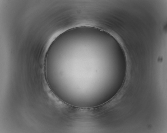 X0000114131104200910151539