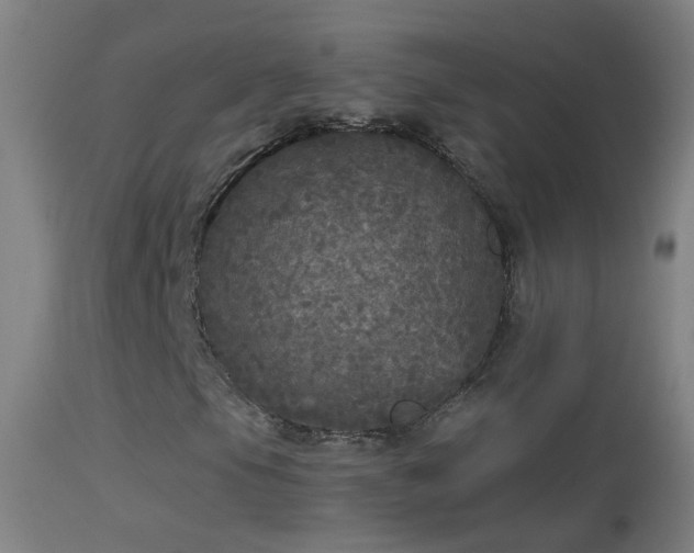 X0000114131105200910151538