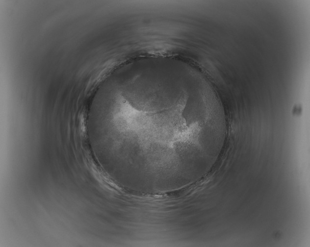 X0000114131106200910151538