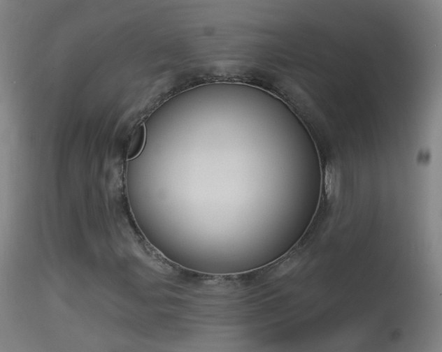 X0000114131107200910151538