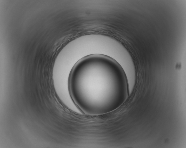 X0000114131108200910151538