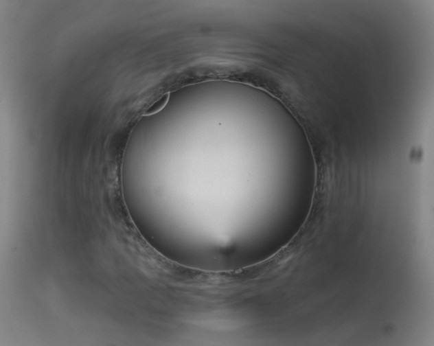 X0000114131109200910151538