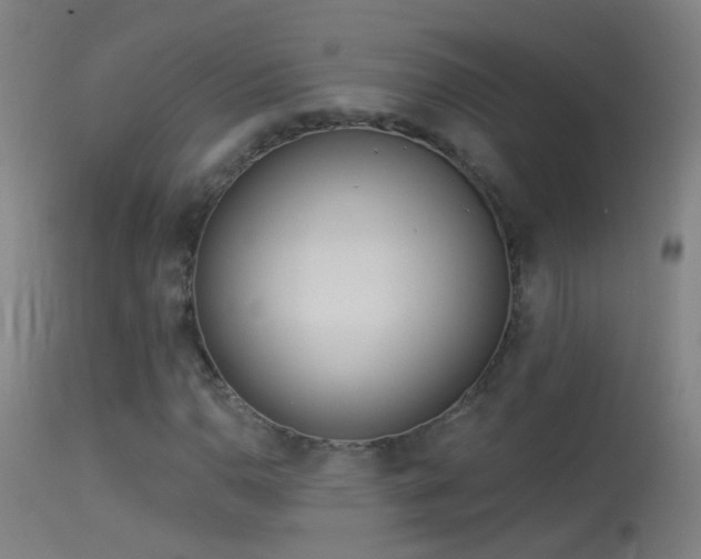 X0000114131110200910151538