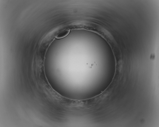 X0000114131111200910151538