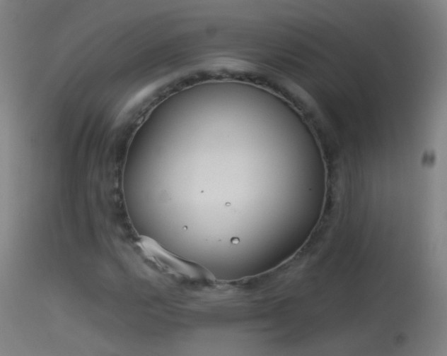 X0000114131112200910151538