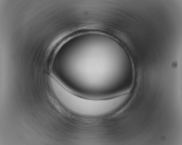 X0000114131114200910151538