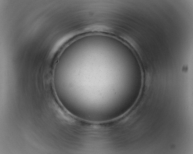 X0000114131115200910151538