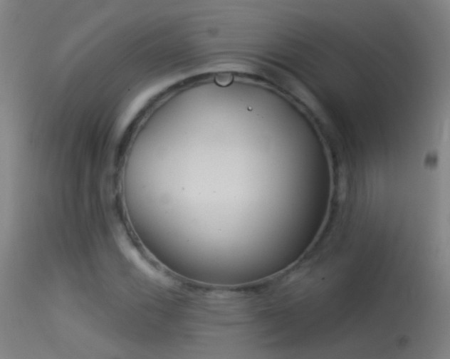 X0000114131116200910151538