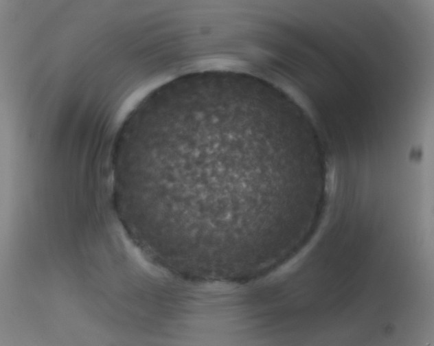 X0000114131117200910151538