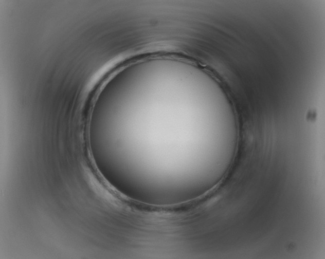 X0000114131118200910151538