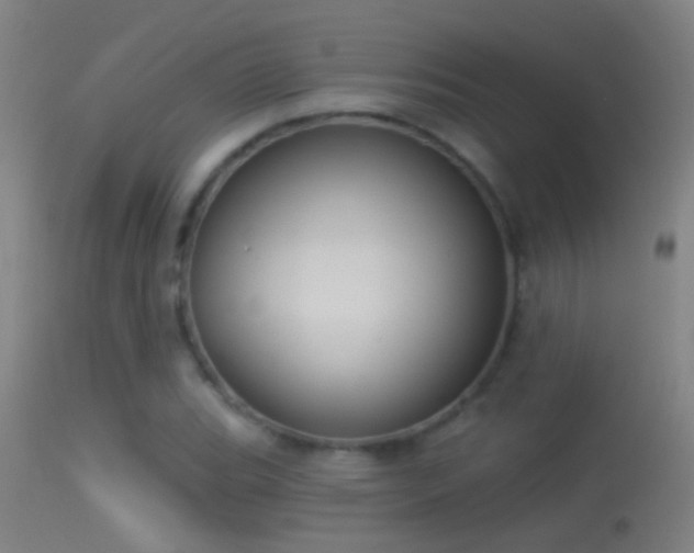 X0000114131119200910151538