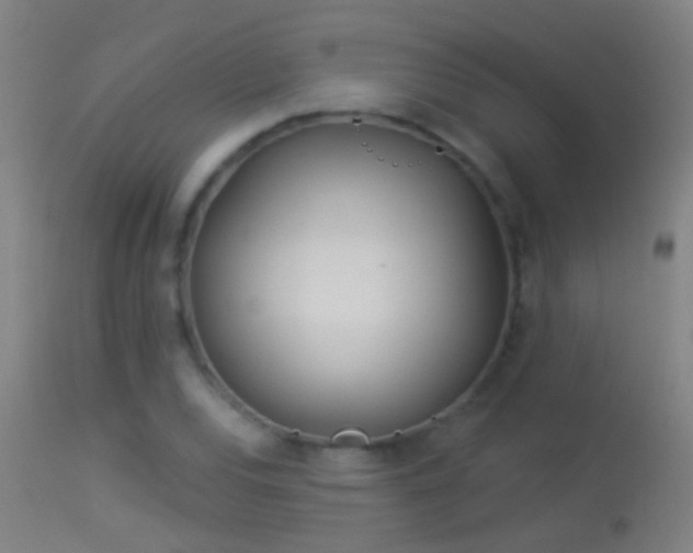 X0000114131120200910151538