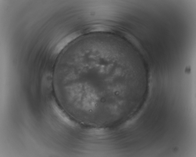 X0000114131121200910151538