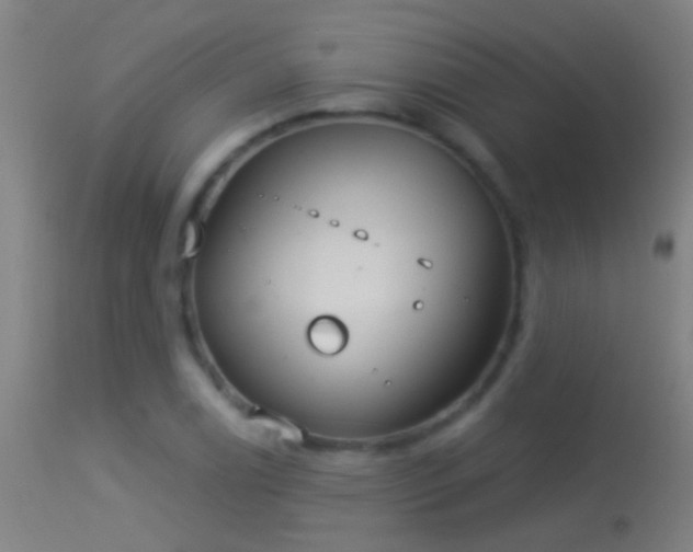 X0000114131122200910151538