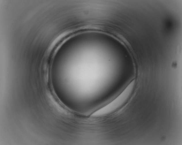 X0000114131123200910151538