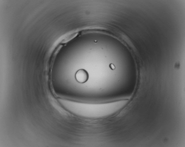 X0000114131124200910151538