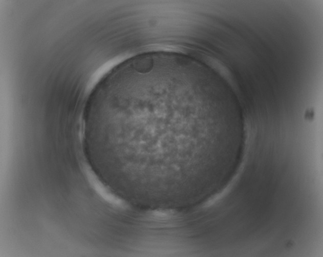 X0000114131125200910151538