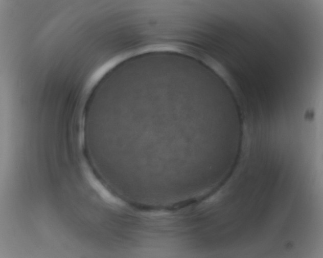 X0000114131127200910151539