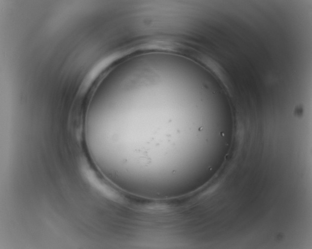 X0000114131131200910151539