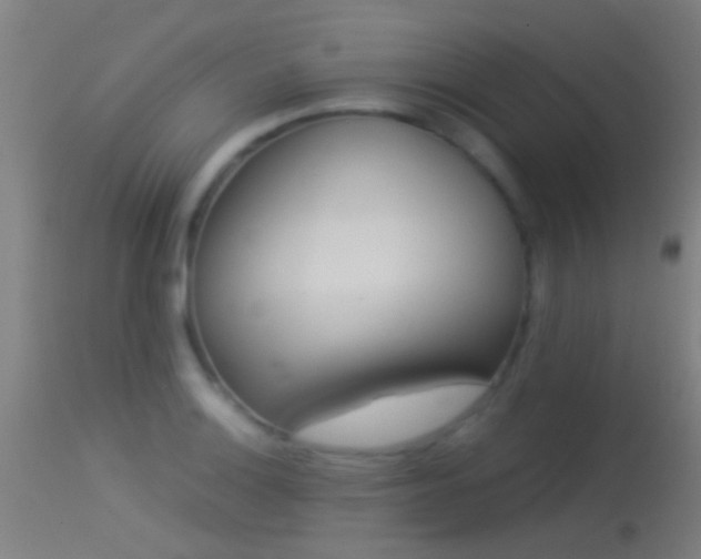 X0000114131132200910151539