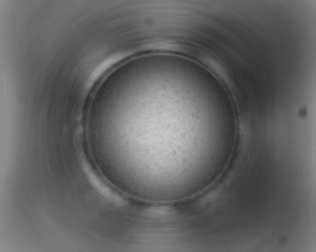 X0000114131133200910151539