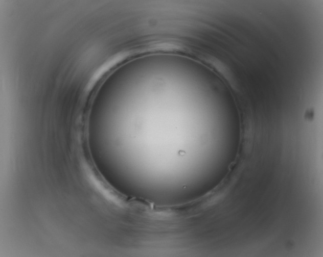 X0000114131134200910151539