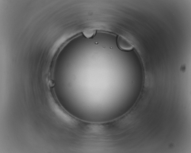 X0000114131136200910151539