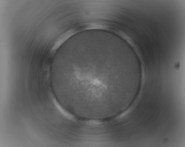 X0000114131137200910151539