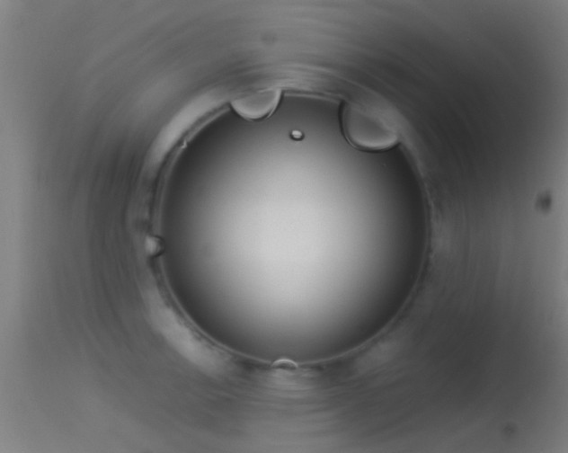 X0000114131138200910151539