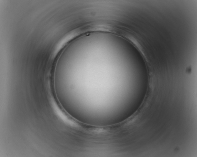 X0000114131139200910151539