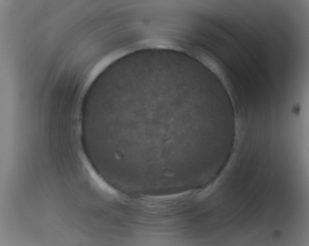 X0000114131141200910151539