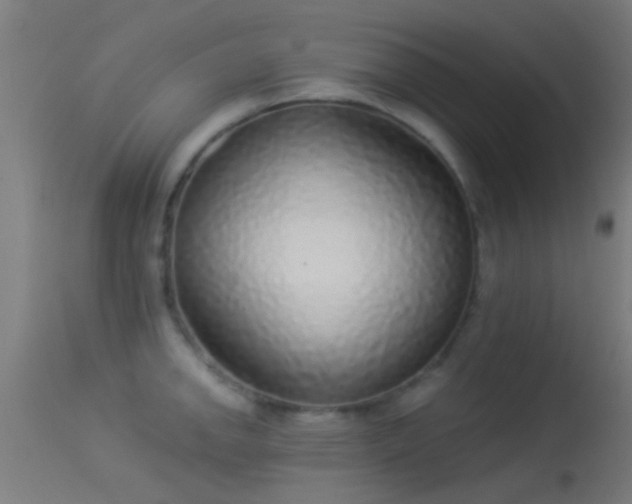 X0000114131142200910151539