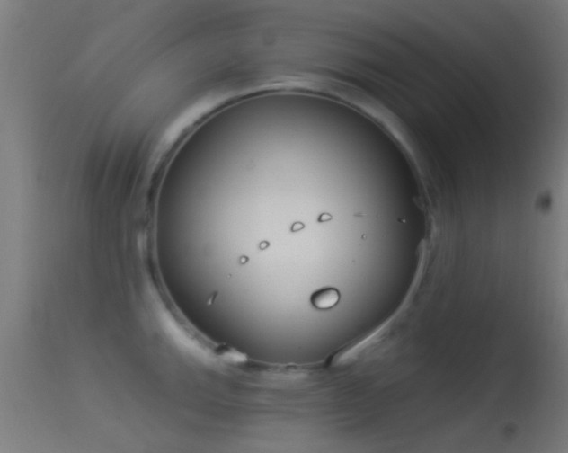 X0000114131143200910151539