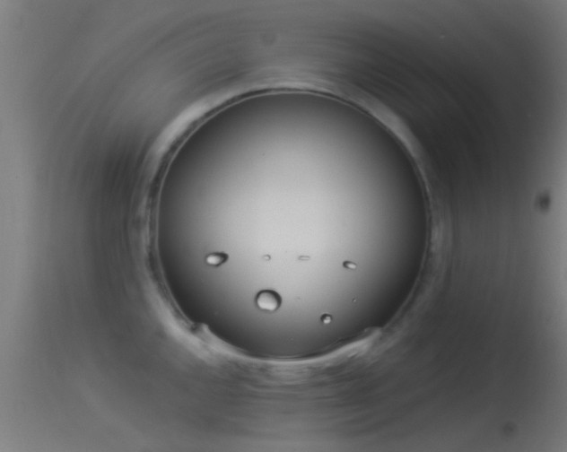 X0000114131144200910151539