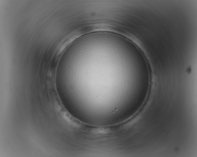 X0000114131145200910151539