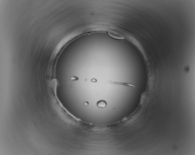 X0000114131146200910151539