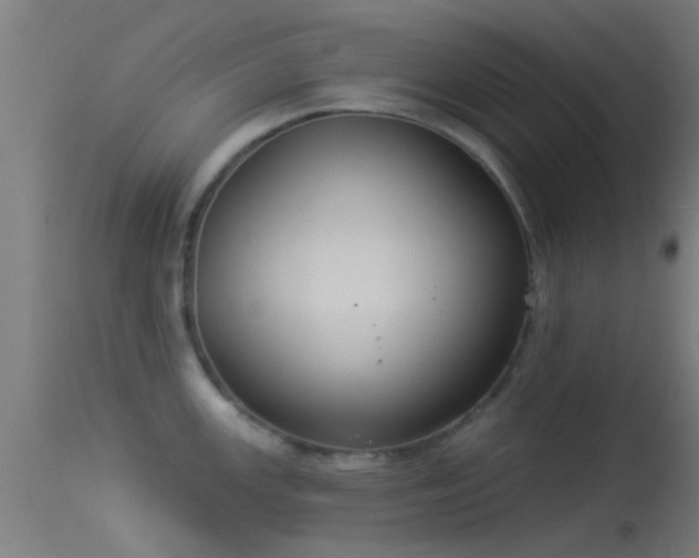 X0000114131147200910151539