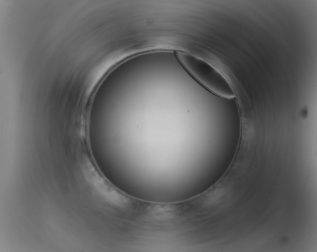 X0000114131148200910151539