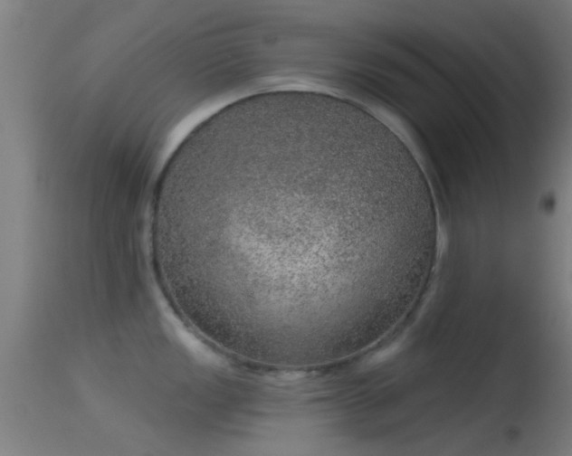 X0000114131149200910151539