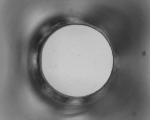 X0000114131150200910151539