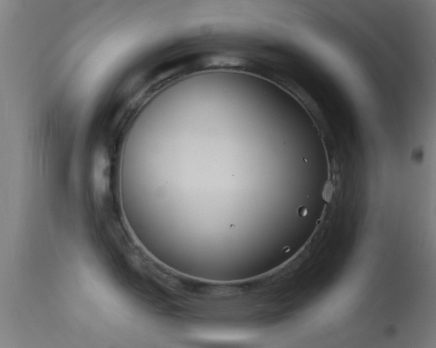 X0000114131151200910151539