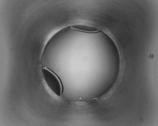 X0000114131152200910151539